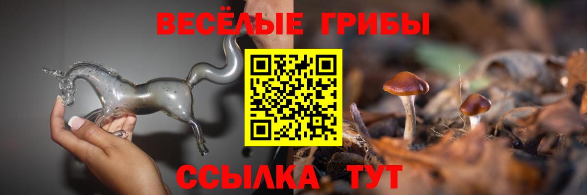 Галлюциногенные грибы прущие грибы Коряжма